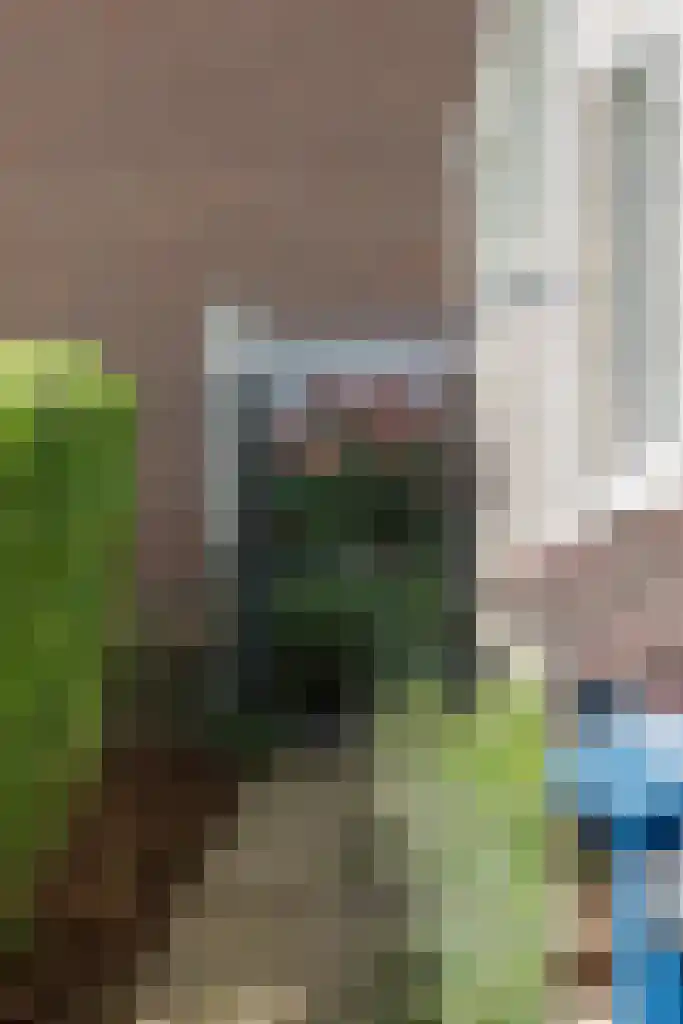 Troubadoursborch 61 Houten thumbnail 70