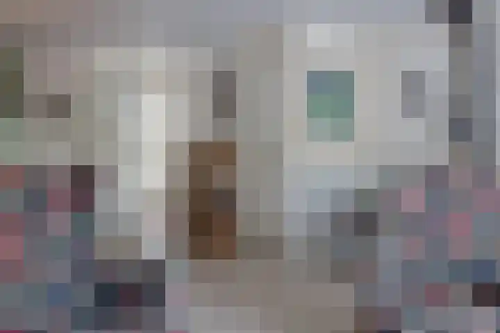 Troubadoursborch 61 Houten thumbnail 8
