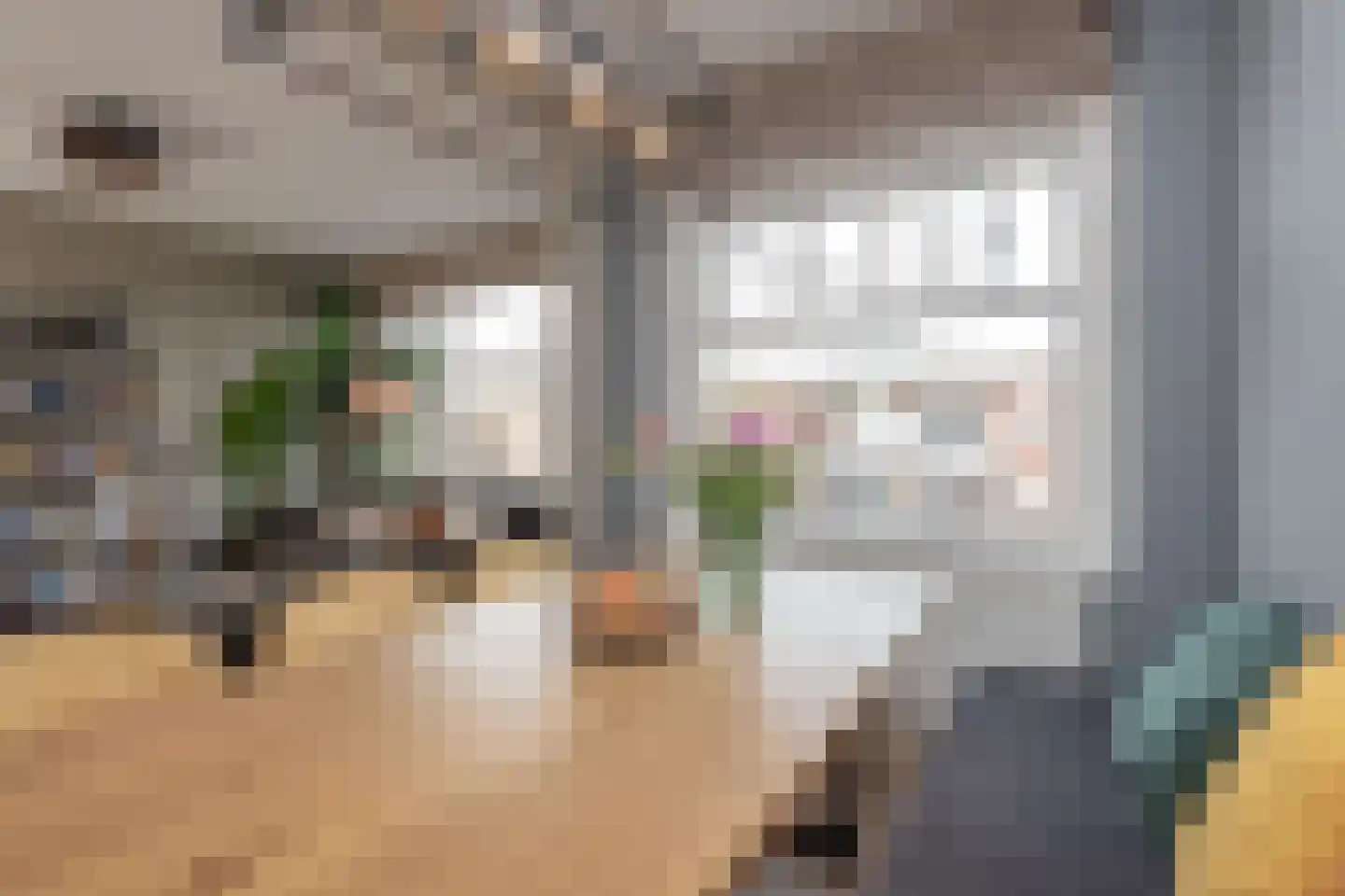 Trouringhstraat 10 H Amsterdam thumbnail 5