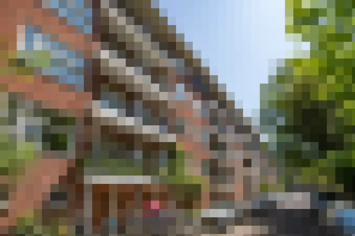 Trouringhstraat 22 2 Amsterdam