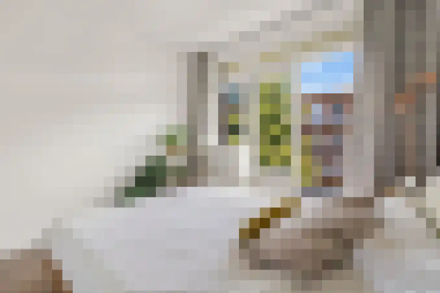 Trouringhstraat 22 2 Amsterdam thumbnail 17