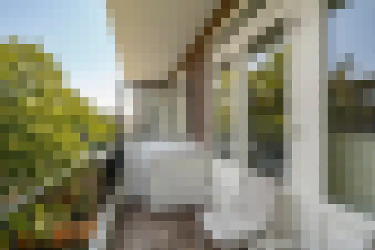 Trouringhstraat 22 2 Amsterdam thumbnail 22