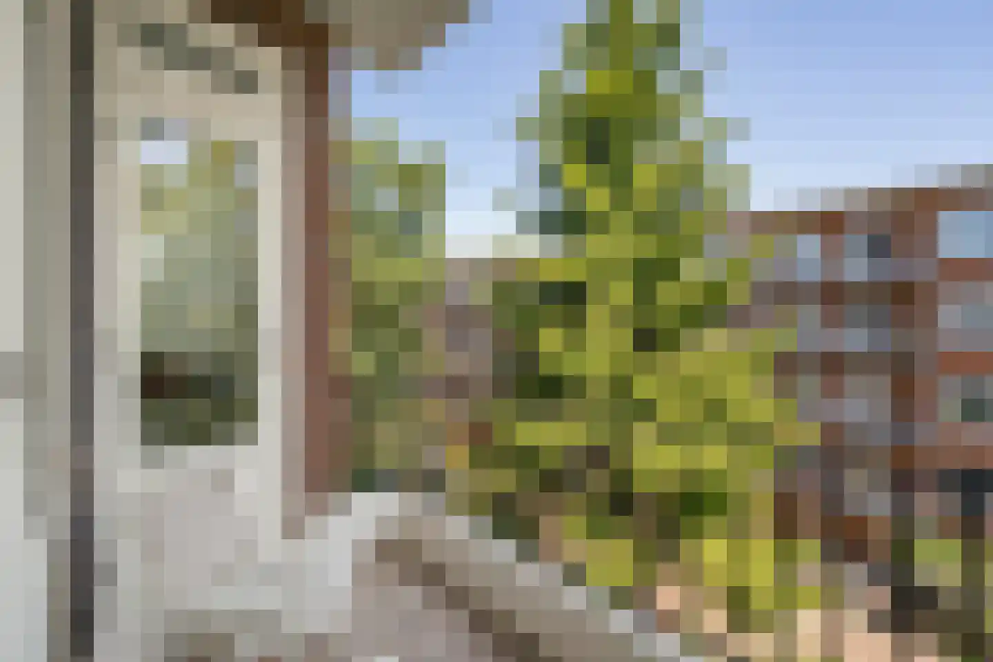 Trouringhstraat 22 2 Amsterdam thumbnail 23