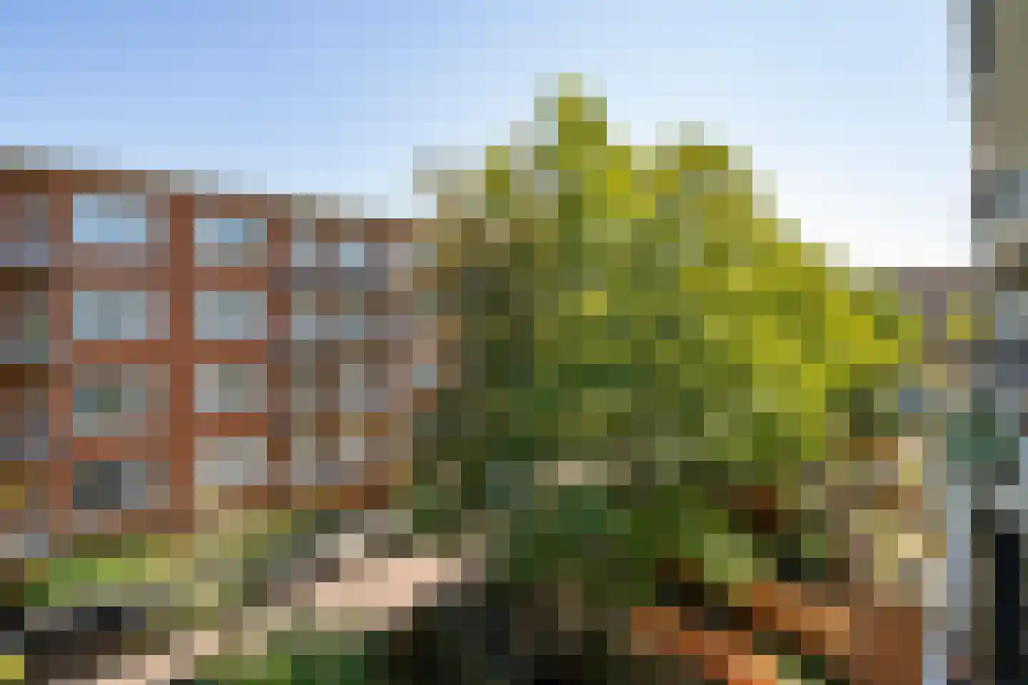 Trouringhstraat 22 2 Amsterdam thumbnail 25