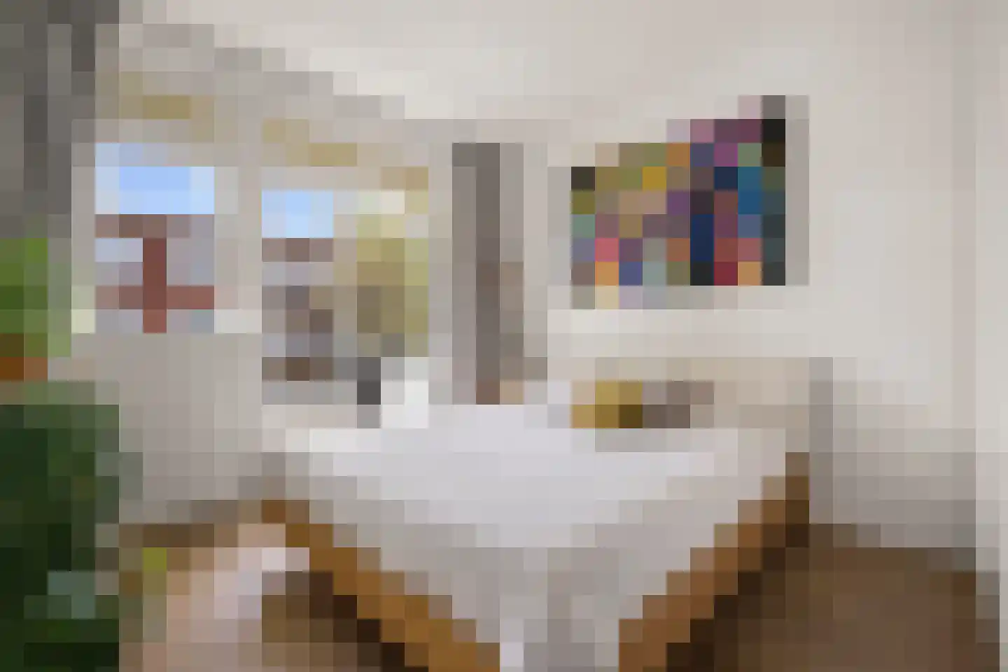 Trouringhstraat 22 2 Amsterdam thumbnail 5