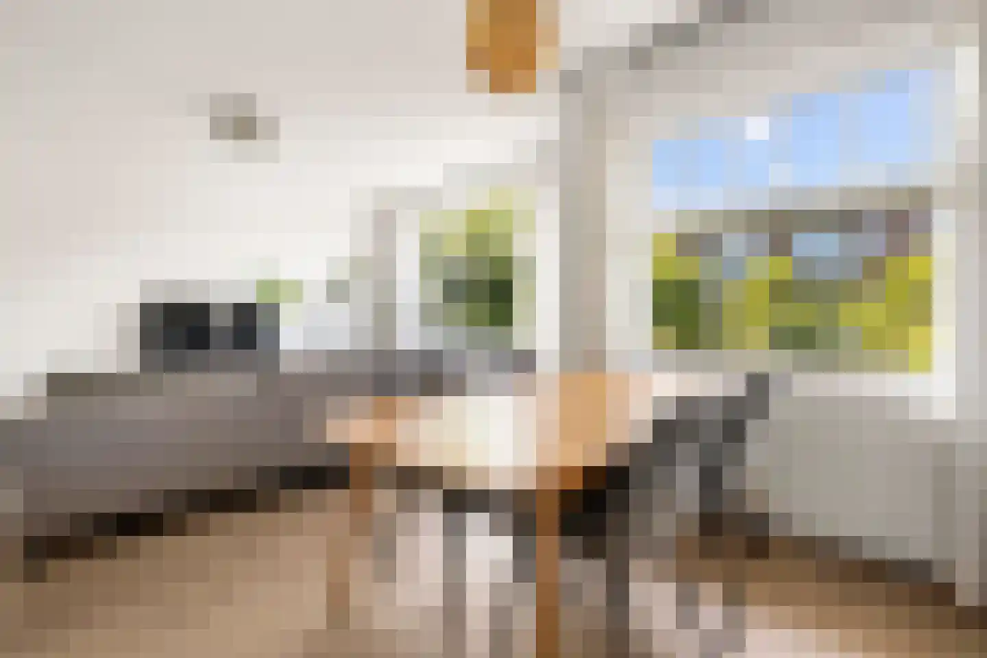 Trouringhstraat 22 2 Amsterdam thumbnail 9