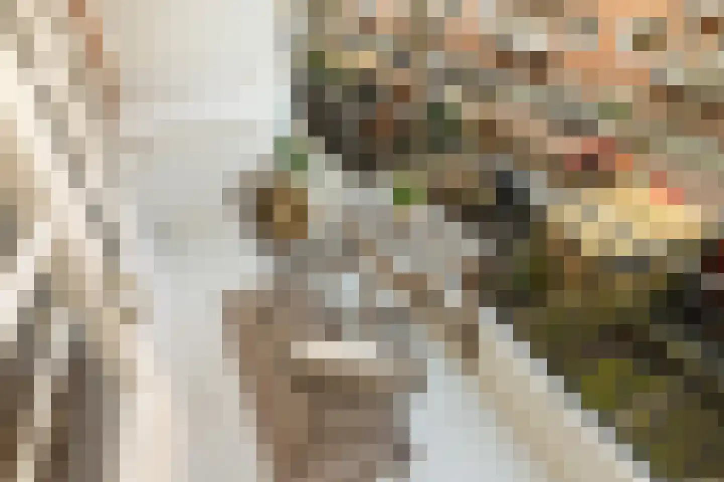 Trouringhstraat 24 3 Amsterdam thumbnail 21