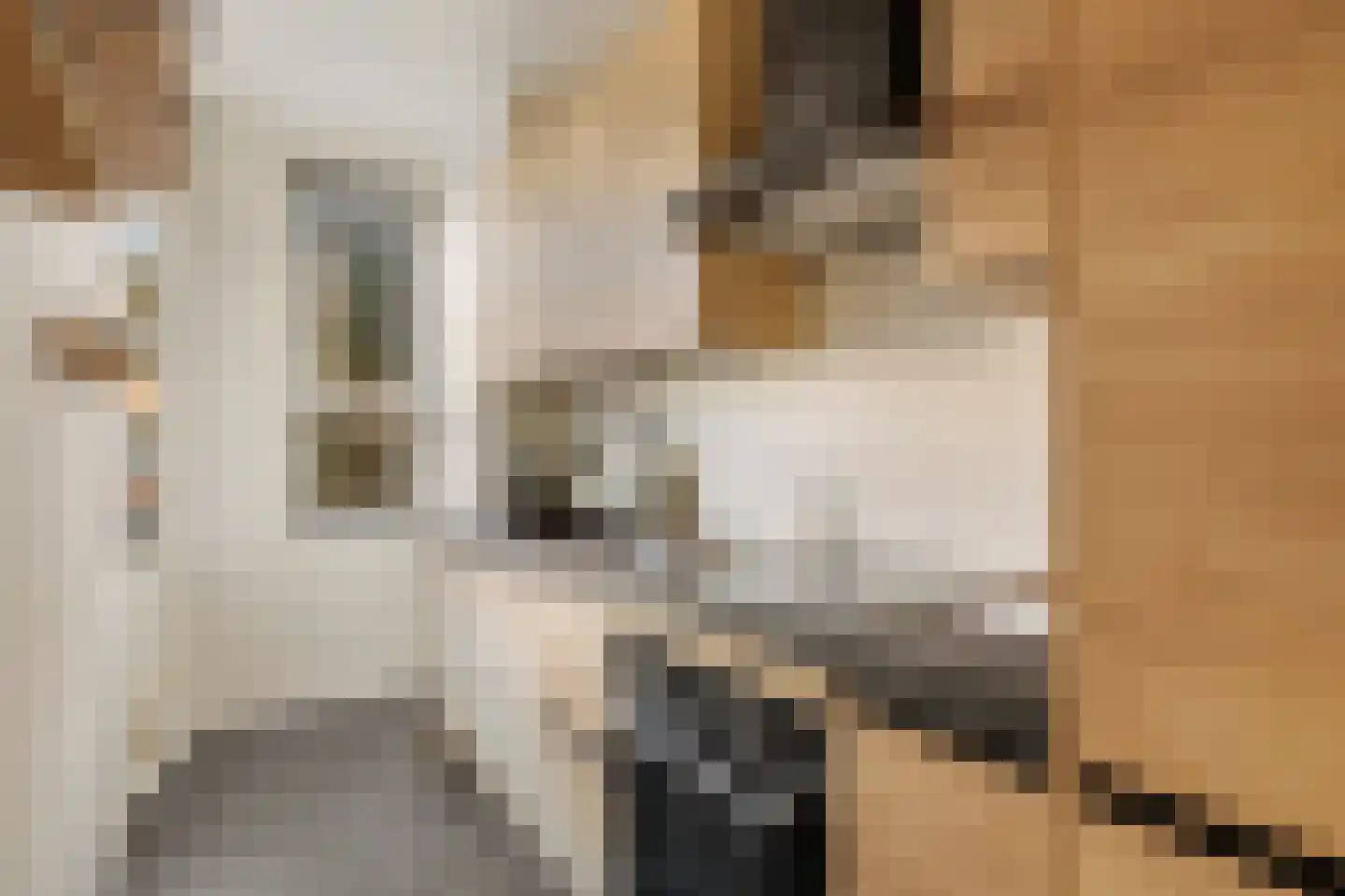Trouringhstraat 24 3 Amsterdam thumbnail 22