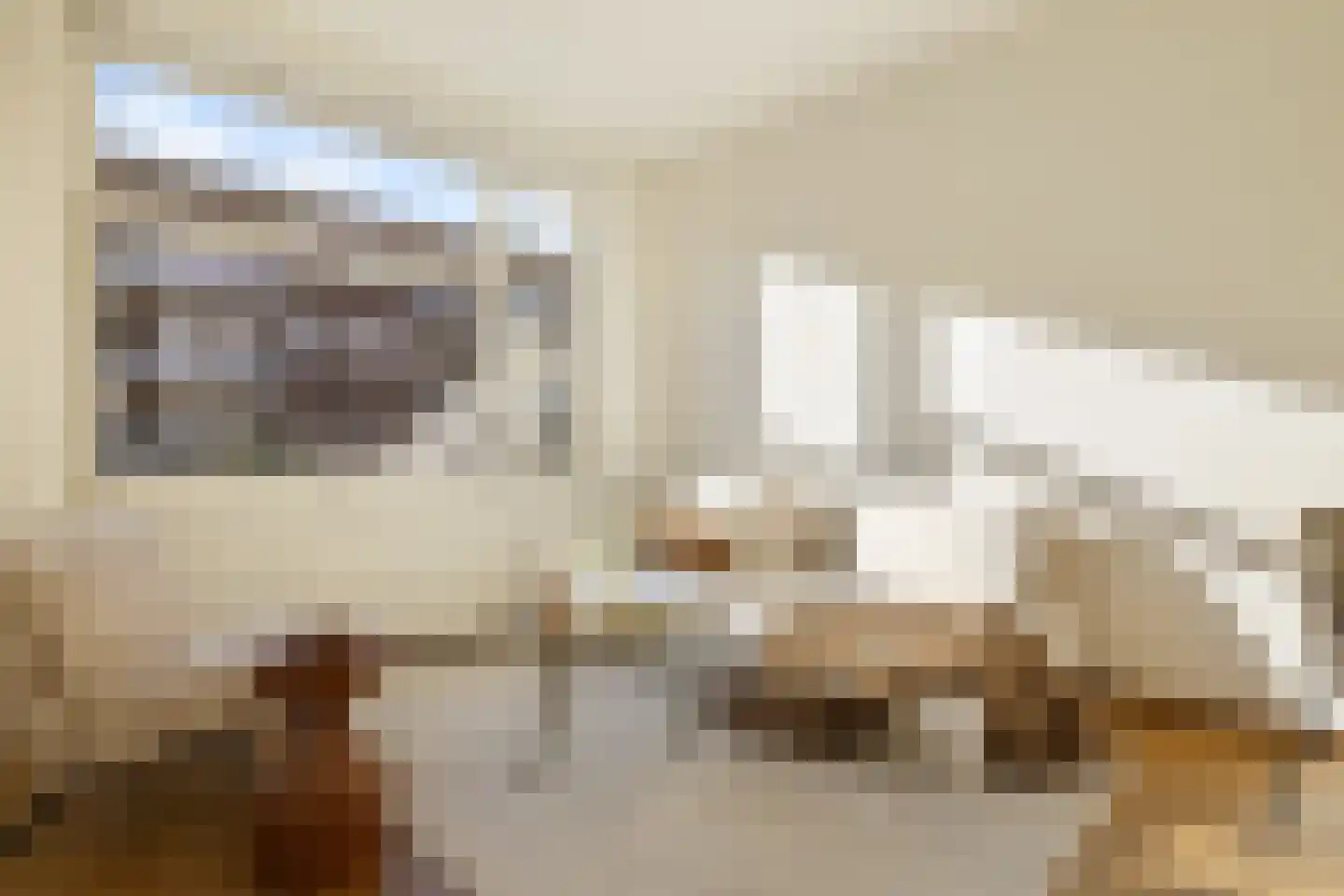 Trouringhstraat 24 3 Amsterdam thumbnail 7