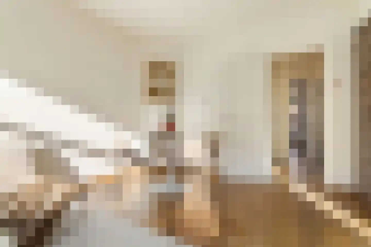 Trouringhstraat 24 3 Amsterdam thumbnail 9