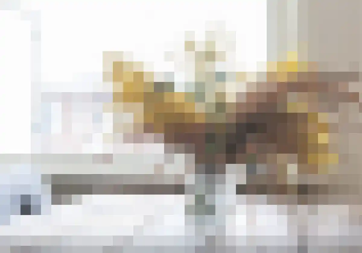 Trouringhstraat 26 Amsterdam thumbnail 5
