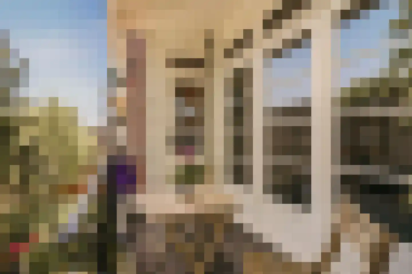 Trouringhstraat 28 2 Amsterdam thumbnail 18