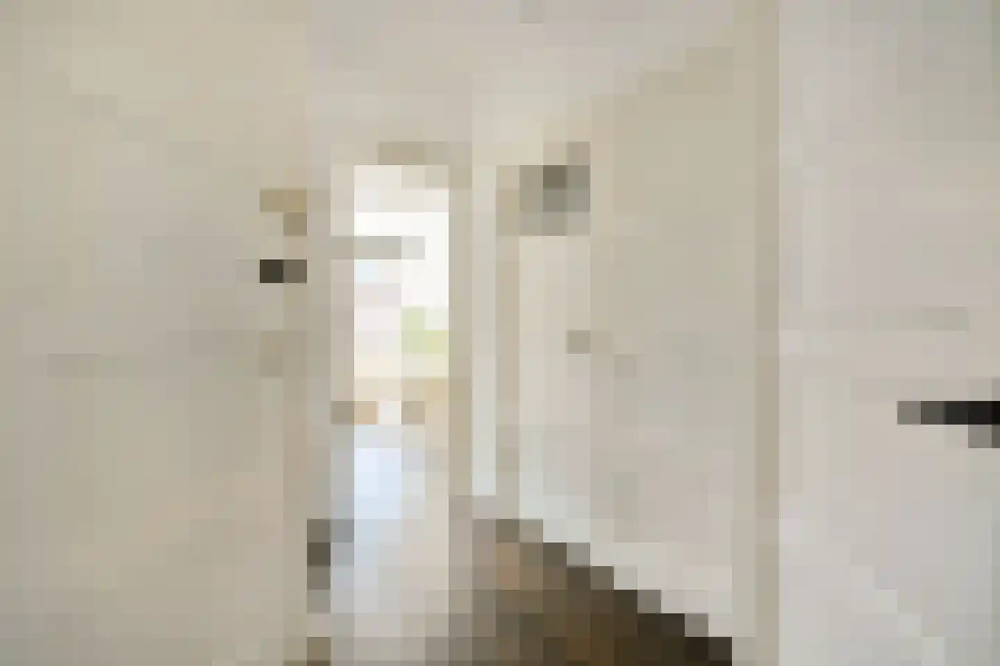 Trouringhstraat 28 2 Amsterdam thumbnail 21