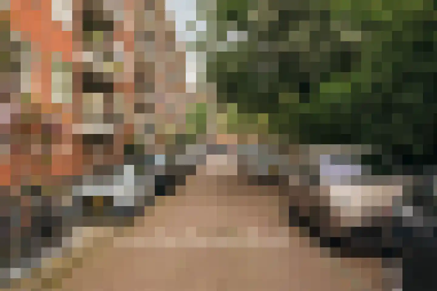 Trouringhstraat 28 2 Amsterdam thumbnail 36