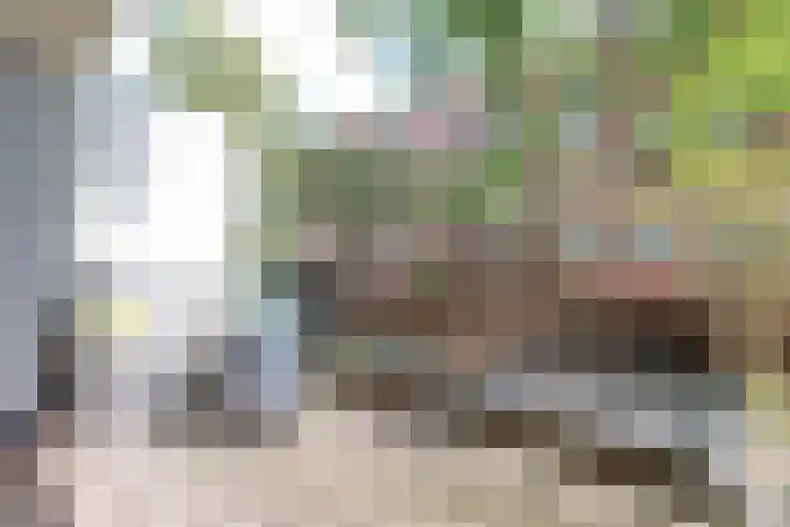 Trouringhstraat 32 3 Amsterdam thumbnail 9