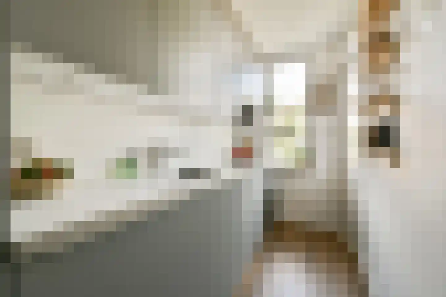Trouringhstraat 6 3 Amsterdam thumbnail 8