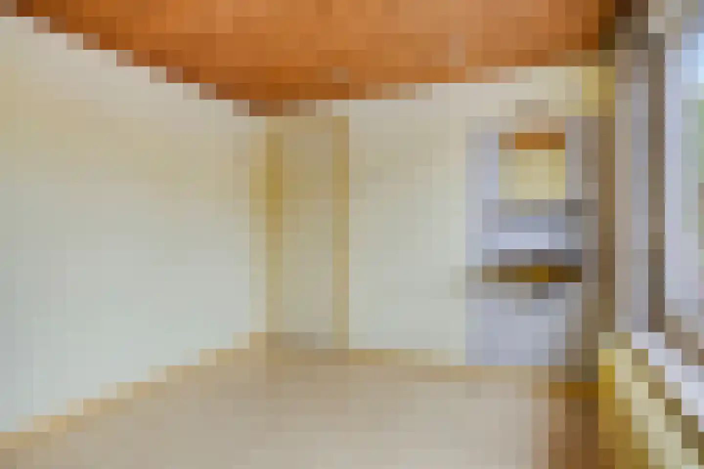 Trouwlaan 110 Tilburg thumbnail 13
