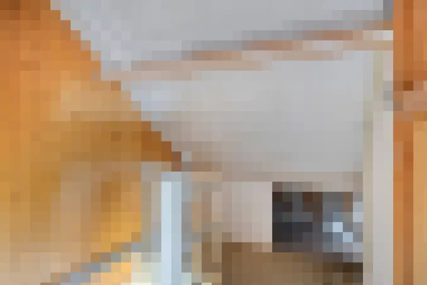 Trouwlaan 110 Tilburg thumbnail 17