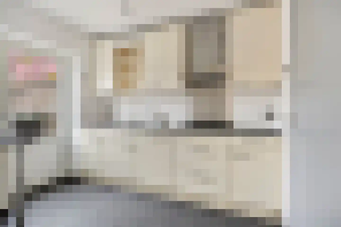 Trouwlaan 110 Tilburg thumbnail 4