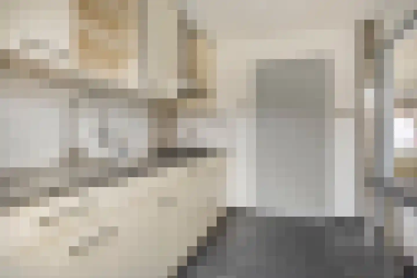 Trouwlaan 110 Tilburg thumbnail 6