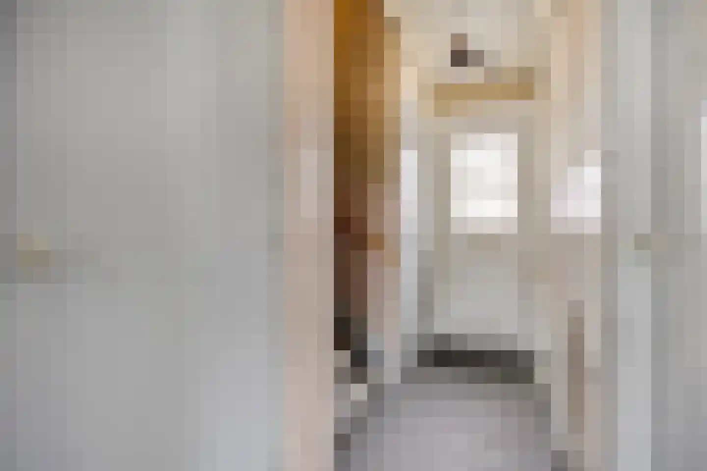 Trouwlaan 110 Tilburg thumbnail 7