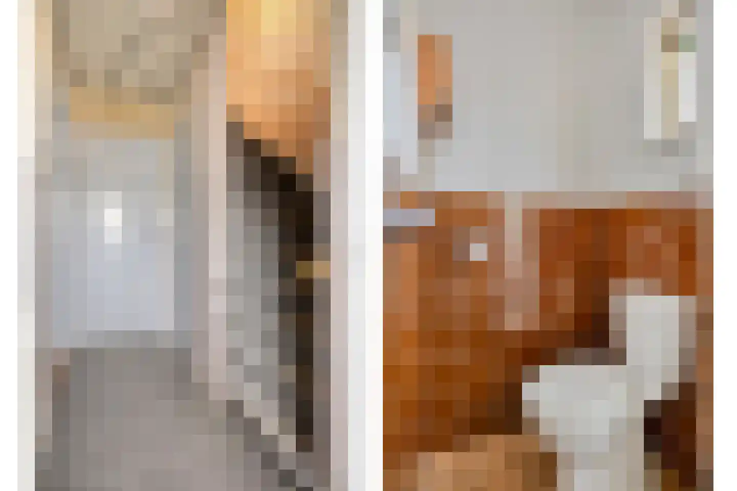 Trouwlaan 110 Tilburg thumbnail 8