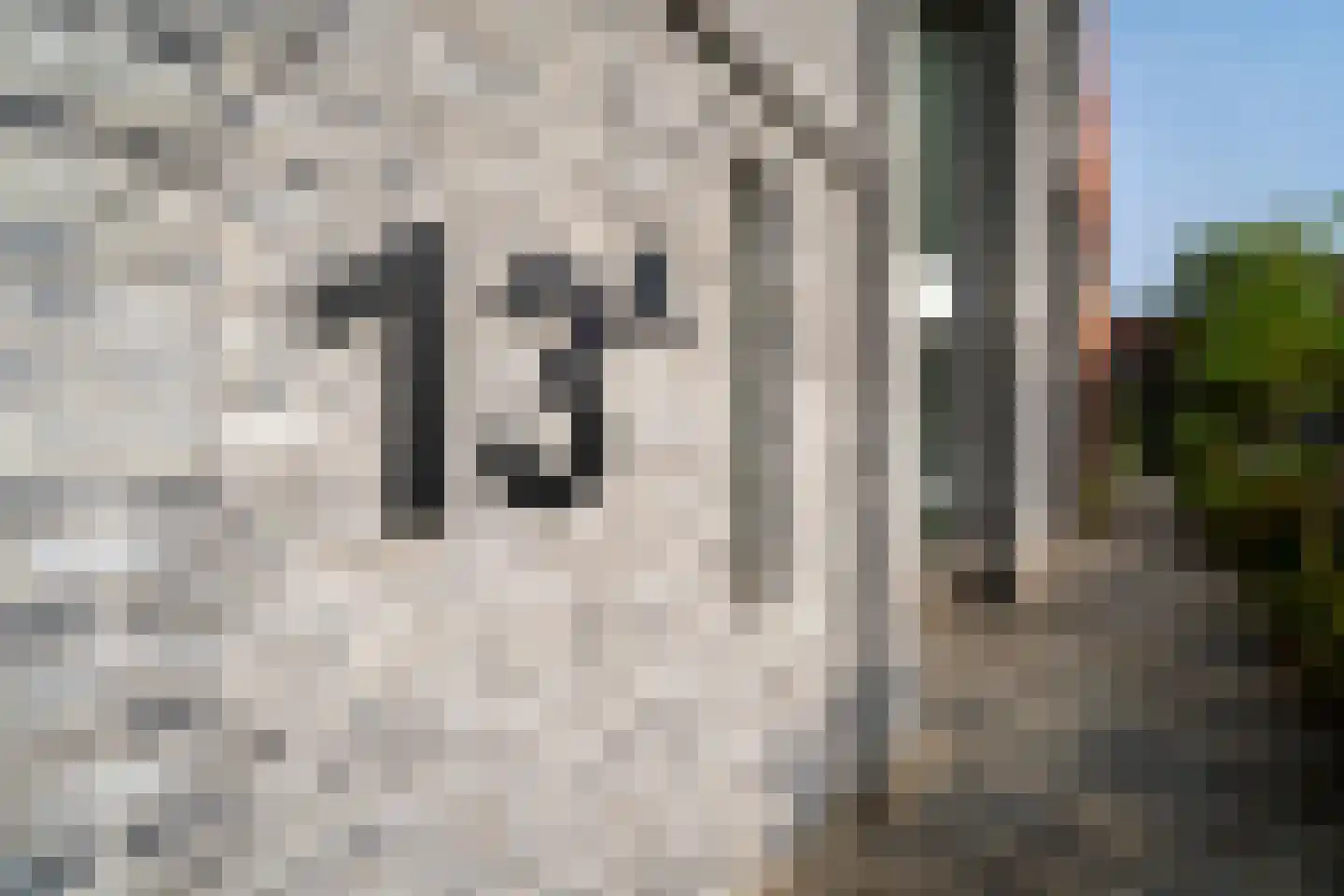 Trouwlaan 13 a Tilburg thumbnail 10