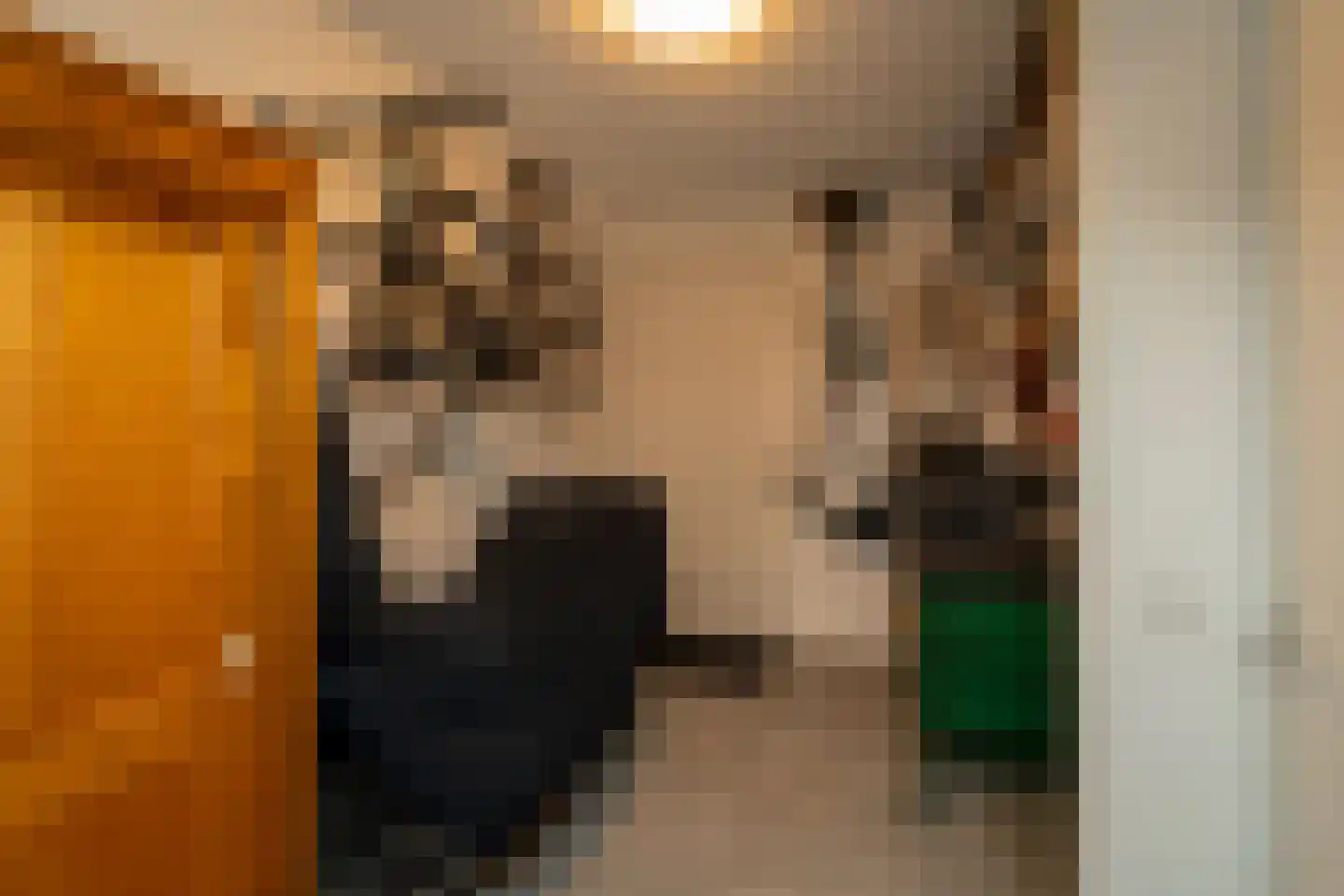 Trouwlaan 13 a Tilburg thumbnail 20