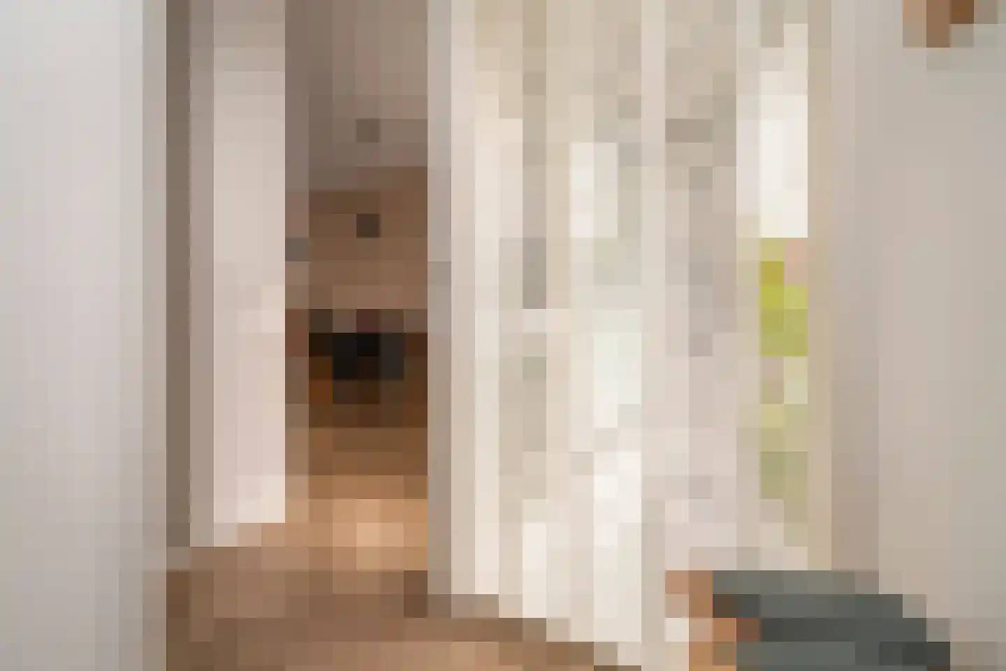 Trouwlaan 13 a Tilburg thumbnail 27