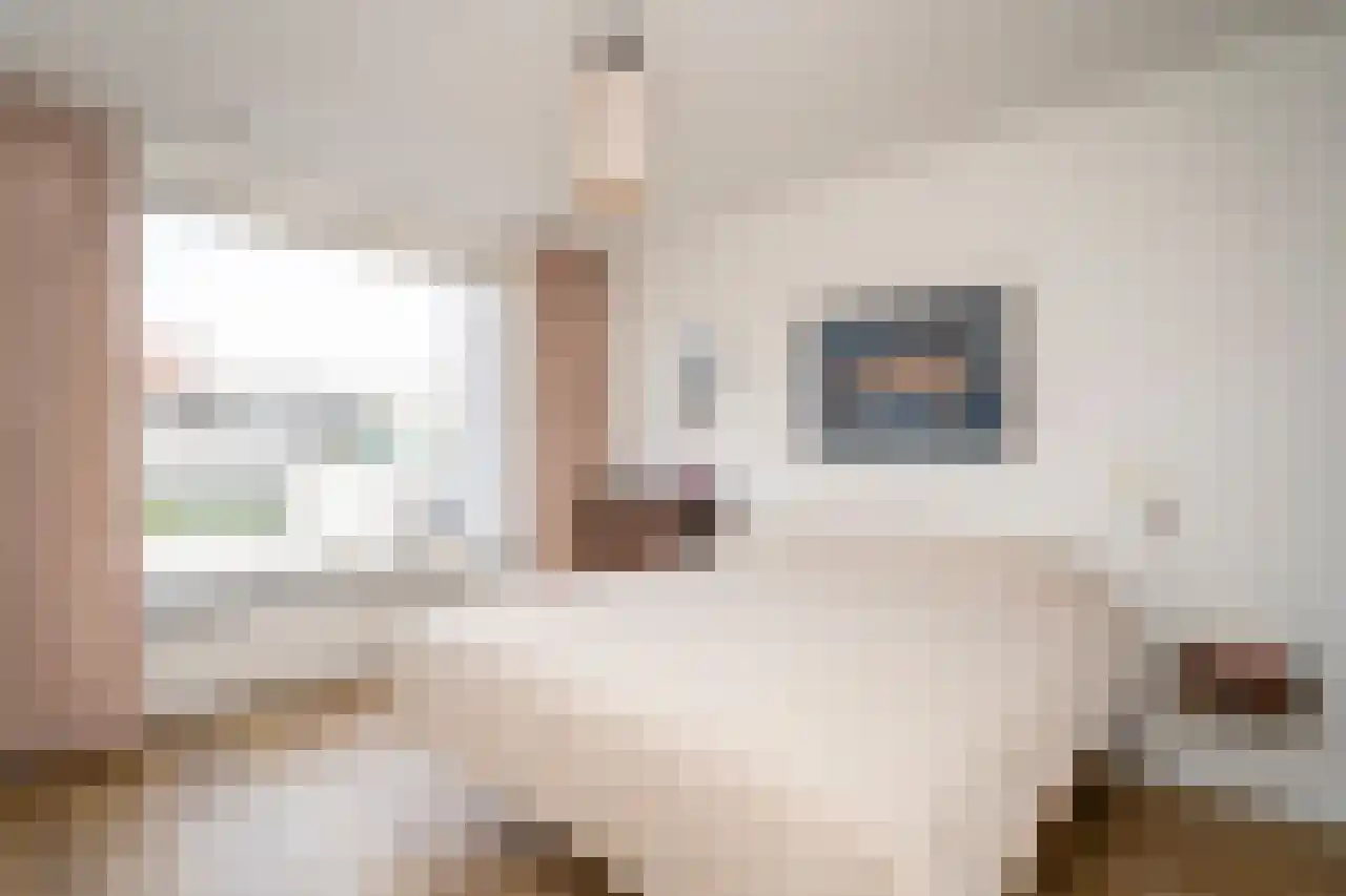 Trouwlaan 13 a Tilburg thumbnail 42