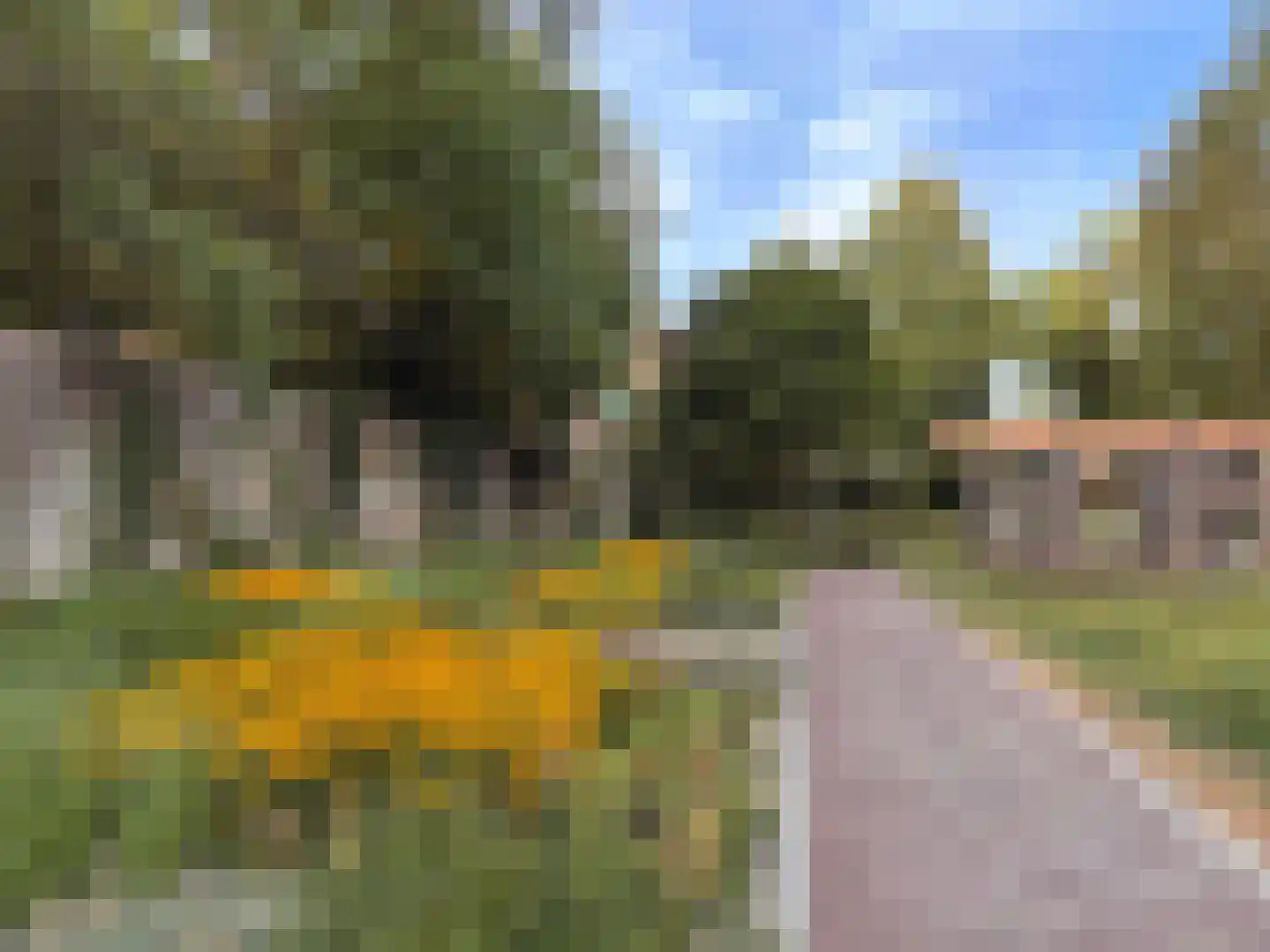 Trouwlaan 13 a Tilburg thumbnail 49