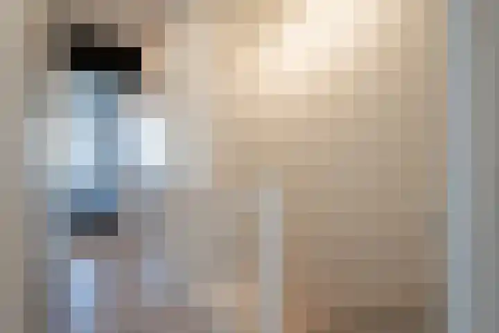 Trouwlaan 188 d Tilburg thumbnail 12