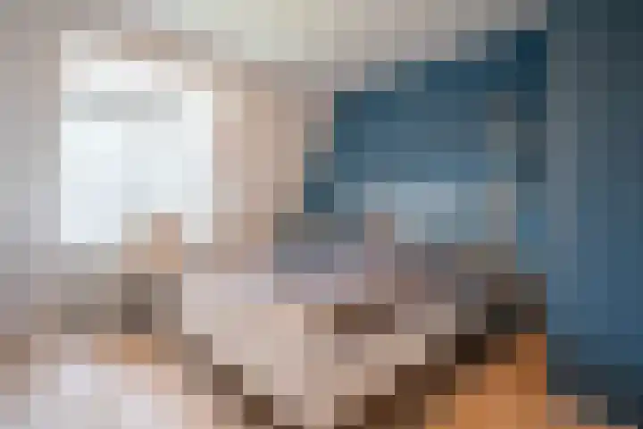 Trouwlaan 188 d Tilburg thumbnail 13