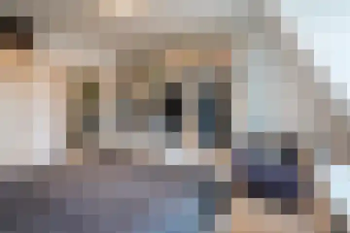 Trouwlaan 188 d Tilburg thumbnail 15