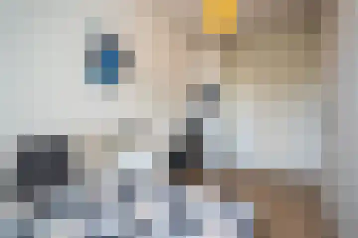 Trouwlaan 188 d Tilburg thumbnail 17