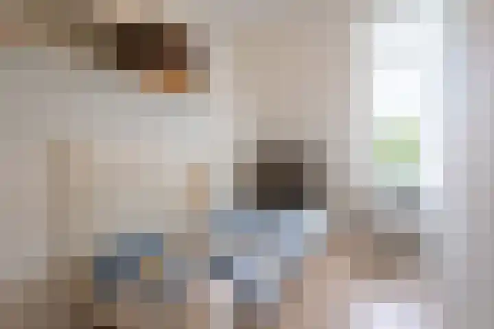Trouwlaan 188 d Tilburg thumbnail 18