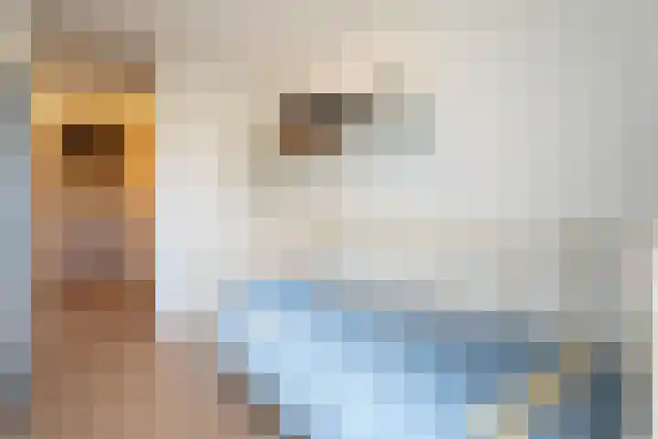 Trouwlaan 188 d Tilburg thumbnail 19