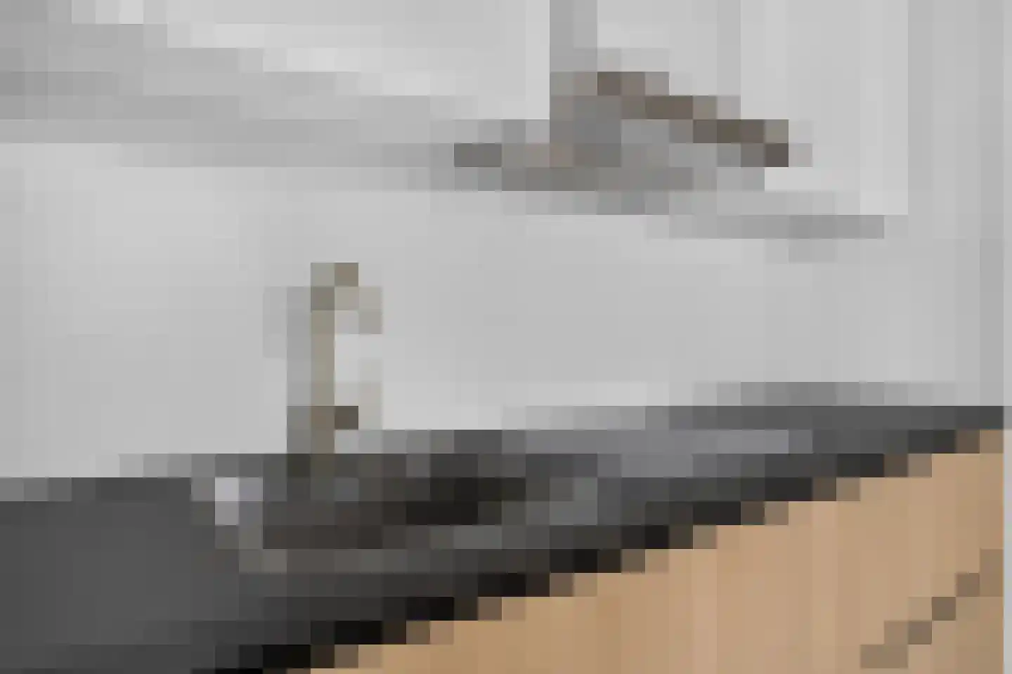 Trouwlaan 189 Tilburg thumbnail 12