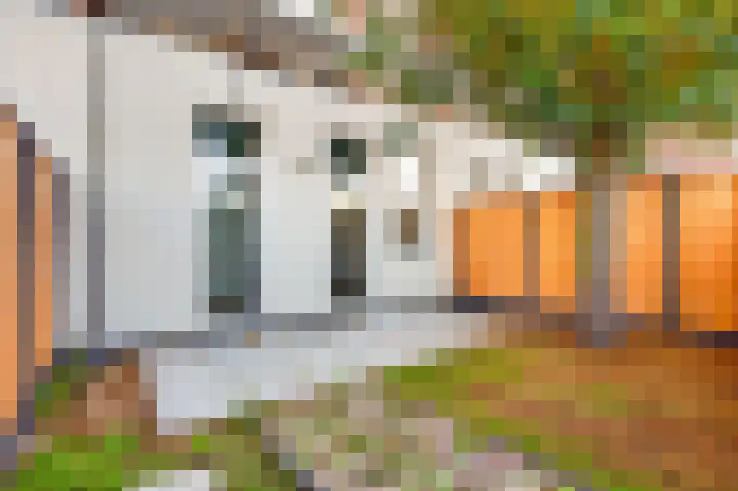 Trouwlaan 189 Tilburg thumbnail 29