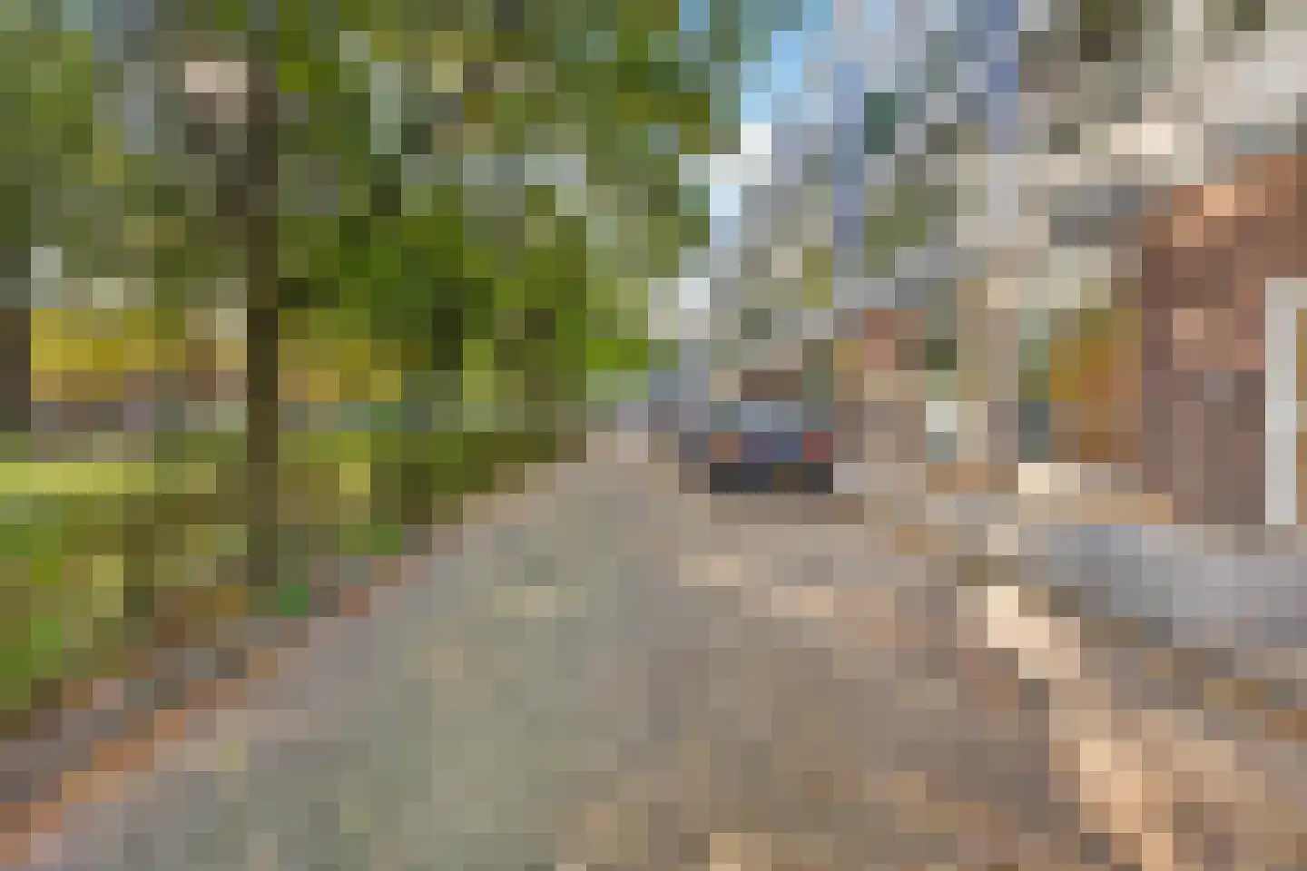 Trouwlaan 189 Tilburg thumbnail 32