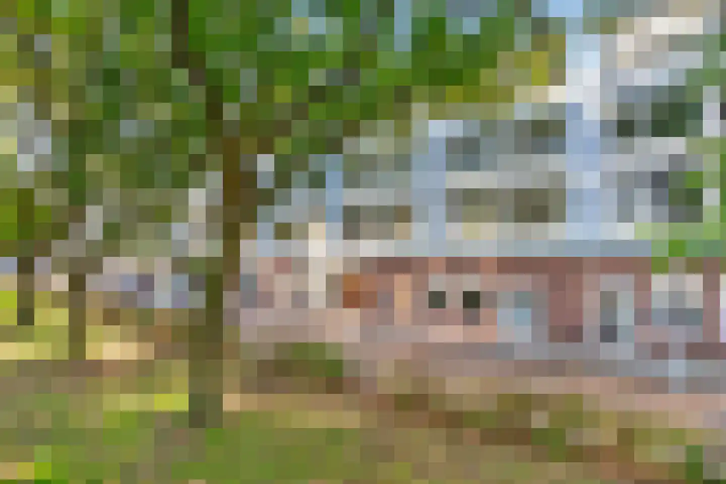 Trouwlaan 189 Tilburg thumbnail 34