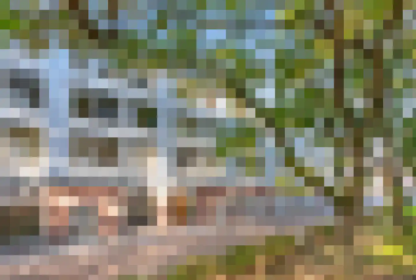 Trouwlaan 189 Tilburg thumbnail 35