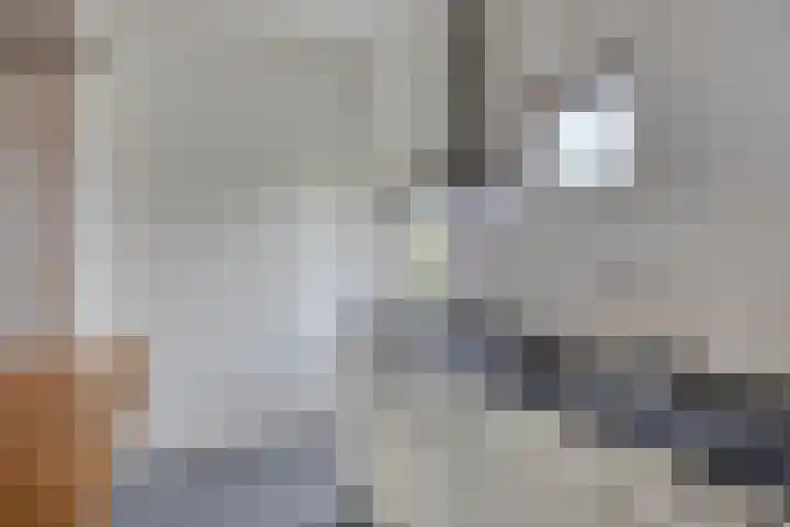 Trouwlaan 195 Tilburg thumbnail 14