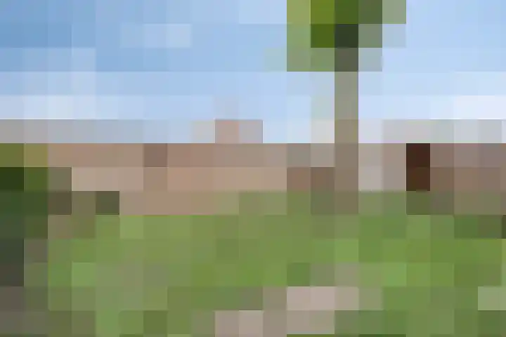 Trouwlaan 195 Tilburg thumbnail 16