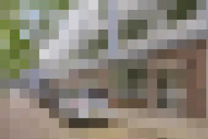 Trouwlaan 195 Tilburg thumbnail 19