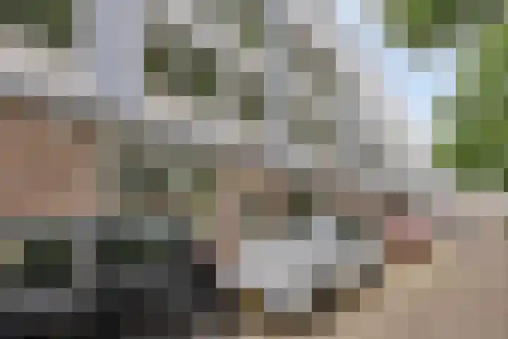 Trouwlaan 195 Tilburg thumbnail 20