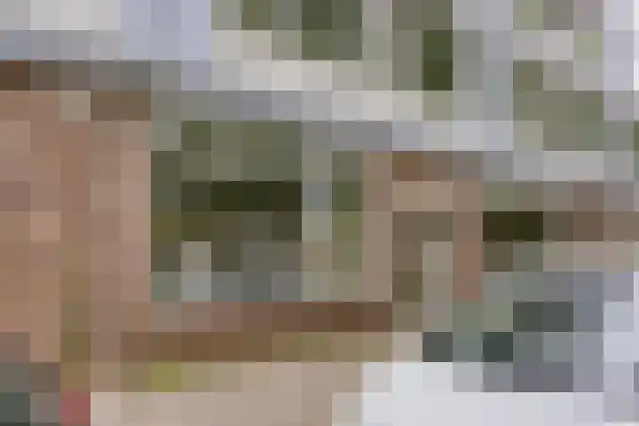 Trouwlaan 195 Tilburg thumbnail 21