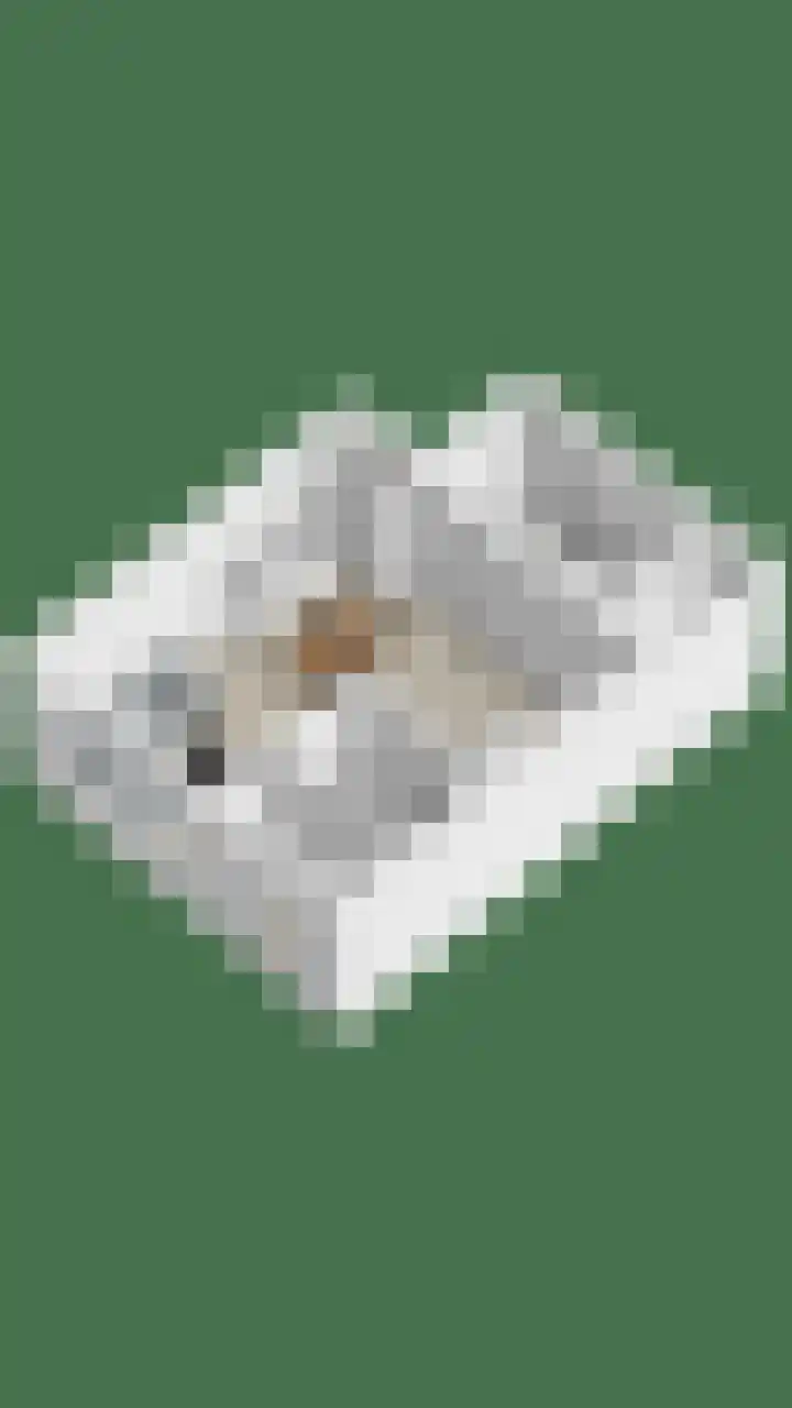 Trouwlaan 195 Tilburg thumbnail 23