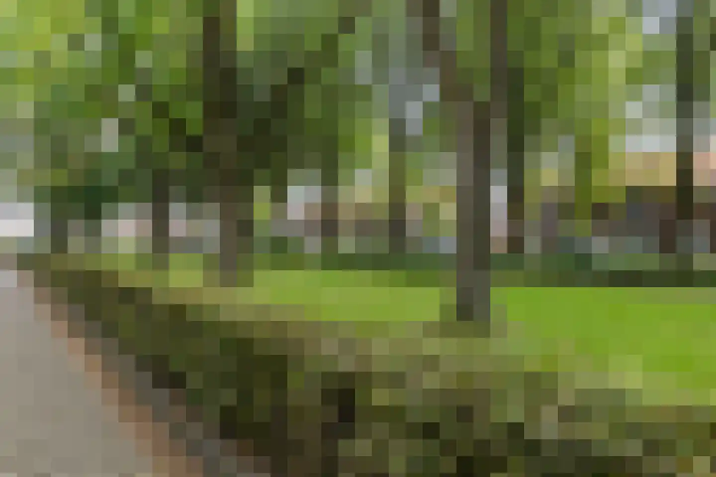 Trouwlaan 197 a Tilburg thumbnail 22