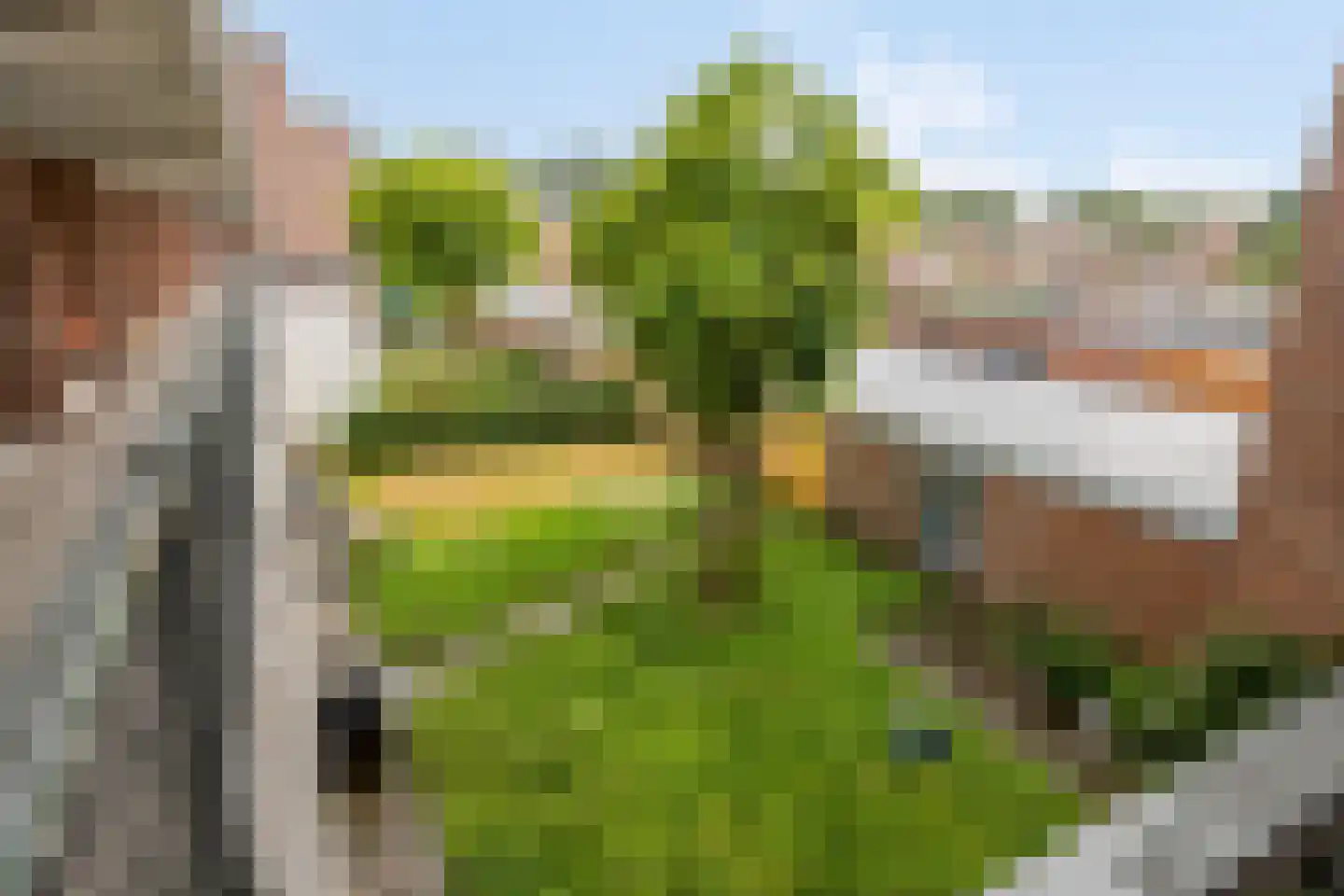 Trouwlaan 203 Tilburg thumbnail 23